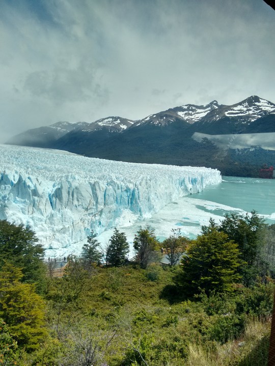 Calafate 098