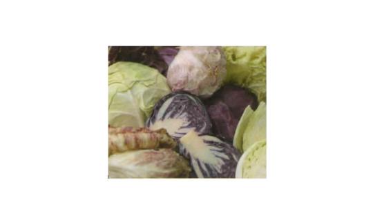repollos multicolor