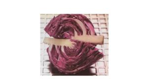 repollo violeta